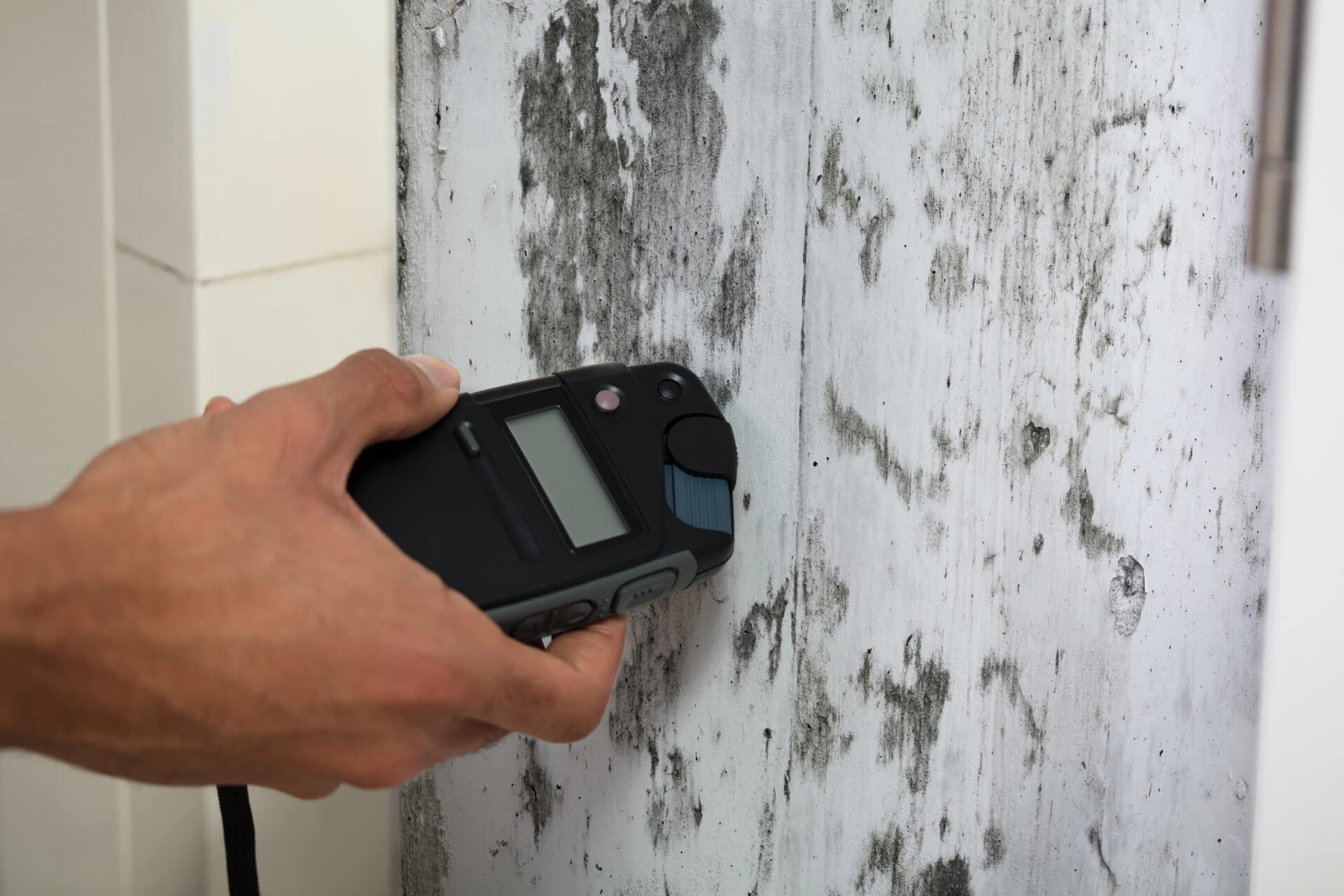 Person using a moisture meter to assess mold damage on a wall, highlighting the importance of mold remediation services.