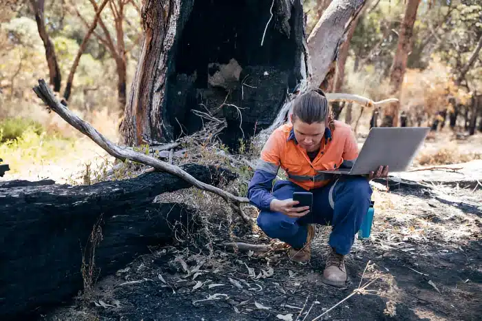 Environmental consultant analyzing data on a smartphone and laptop near a burned tree, emphasizing sustainable practices and restoration efforts.