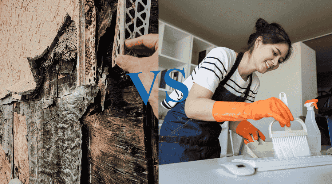 Fire damage restoration comparison: damaged wall and professional cleaning with woman in gloves.