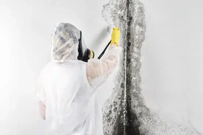 Professional in protective gear applying mold remediation treatment to a wall with visible mold growth, emphasizing expert mold removal services in Hagerstown, MD.